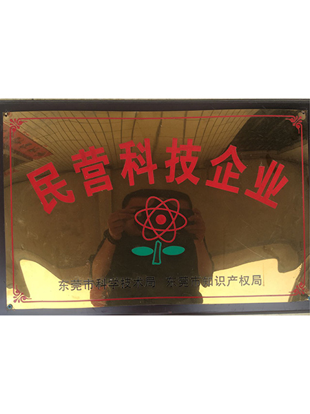 民营科技企业